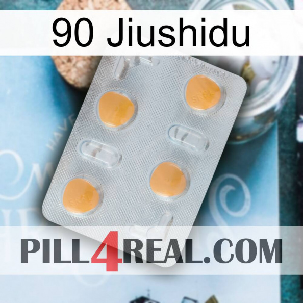 90 Jiushidu 24.jpg